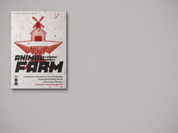 丹尼爾·格雷 平面設(shè)計(jì)領(lǐng)域的美國創(chuàng)新力量